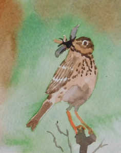 Christine C, Meadow Pipit, watercolour greeting card.jpg